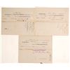 Image 1 : Agricultural Branch Railroad Stock Certificate trio