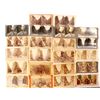 Image 1 : Royal Gorge CO Stereoview Collection