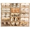 Image 1 : 15 Tropical Hawaii Stereoviews