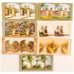 Hawaiian Tree Scenes Stereoviews