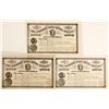 Image 1 : Ellsworth Silver Mining Company Stock Certificates