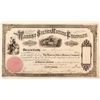 Image 1 : Warren Silver Mining Company Stock Certificate (1865) (La Plata, Nevada Ghost Town)