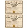 Image 1 : Pair of The Gold Placer Mining Co. Stock Certificates