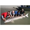 Image 3 : B.C. SPORTFISHING GROUP: Chilliwack, British Columbia
