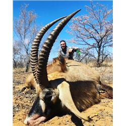 AFRICAN ARROW SAFARIS: Limpopo Province, South Africa