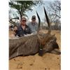 Image 5 : AFRICAN ARROW SAFARIS: Limpopo Province, South Africa