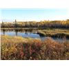 Image 5 : SILVERTINE WILDLIFE CO.: Rapid View, Saskatchewan