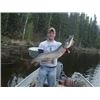 Image 1 : NORDIC LODGE: Reindeer Lake, Sask.