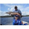 Image 6 : NORDIC LODGE: Reindeer Lake, Sask.