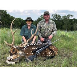 FRIEDRICH SPRINGS RANCH: Texas