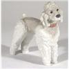 Image 1 : Hand painted Lladro poodle, printed marks t…