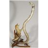 Image 1 : Stuffed mongoose and Cobra display on a bra…