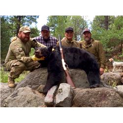 5 Day Bear Hunt in New Mexico for 1 hunter