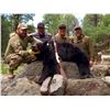 Image 1 : 5 Day Bear Hunt in New Mexico for 1 hunter