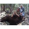 Image 2 : 5 Day Bear Hunt in New Mexico for 1 hunter