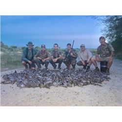2 day Mexico Dove hunt for 1 hunter