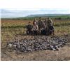 Image 3 : 2 day Mexico Dove hunt for 1 hunter