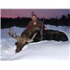 Image 2 : 8 Day Moose hunt in Alberta