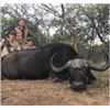 Image 4 : Cape Buffalo Hunt for 1 hunter 3 Observers in South Africa