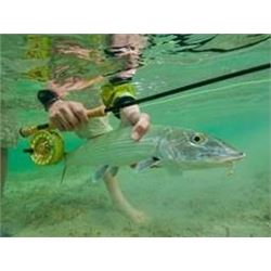 4 Night/3 Day Bone fishing in the Bahamas