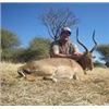 Image 4 : 10 Northern Namibian Safari for 2 Hunters & 2 Observers