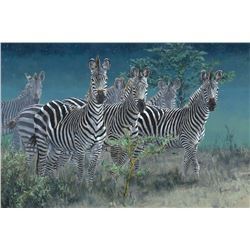 2018 Conservation Artist of the Year Framed Print on Canvas