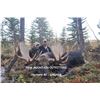 Image 1 : 10- Day Canada Moose Hunt in British Columbia
