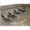 Image 2 : CAT50 Sandvik C3 Collet Chucks, P/N: 50MM-VF4-C3
