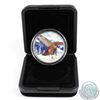 Image 1 : 2015 Canada $5 Birds of Prey - Red-tailed Hawk Coloured Fine Silver Coin in Black RCM Display Box (c