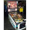 Image 2 : Indiana Jones Pinball