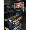 Image 2 : Champion Pub Pinball