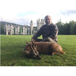 Scotland Spring Roe Deer Hunt