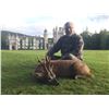 Image 1 : Scotland Spring Roe Deer Hunt