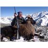 Image 1 : New Zealand South Island 5-Day Bull Tahr Hunt