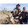 Image 1 : Montana Trophy Mule Deer Hunt