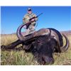 Image 2 : WOW Africa South African Buffalo & Plains Game Hunt