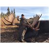Image 2 : British Columbia 10 Day Trophy Moose Hunt