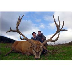 Scotland Fall Stag Hunt