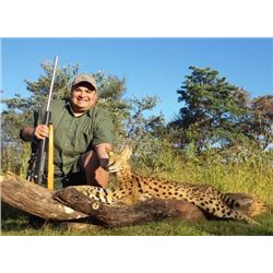 South Africa Small Cat Grand Slam