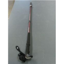 Ascend Walking/Hiking Stick