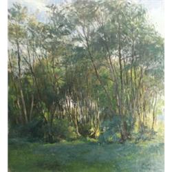 Benkhard Ágost (1882-1961): Erdorészlet