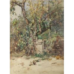 Neodrády Antal (1861-1942): Kertrészlet