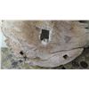 Image 3 : Aged Teak Wheel, Approx 33" Dia.