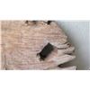 Image 6 : Aged Teak Wheel, Approx 33" Dia.