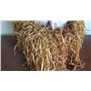 Image 3 : African Dance Mask, Polychromed Wood w/ Raffia & Shell Collar, 22" H (wood split)