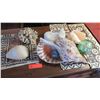 Image 1 : 2 Small Glass Balls & Misc. Natural Seashells (Various Sizes)