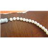 Image 3 : Mikimoto 5.5mm Cultured Pearl Necklace, 75 Pearls, 17" L, Silver Clasp w/ 4mm pearl