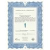 Image 2 : Turquoise Egyptian Faience Ushabti Haru-Ankh (664-525 B.C.E) 4.75" H, w/Certificate of Authenticity