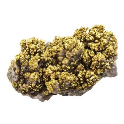 1.6 Gram California Gold Quartz Nugget