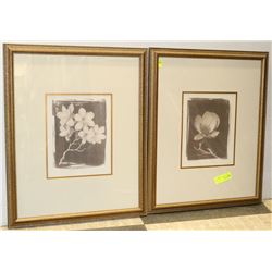 PAIR OF MATCHING STYLE FRAMED MATTED FLOWER